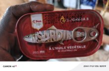Sardine
