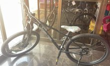 Vélo P29 Ozark Trall