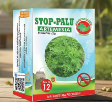 STOP PALU